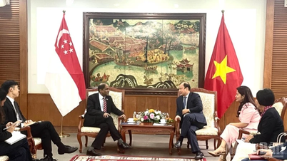 Förderung der kulturellen Verbindung und des Austauschs zwischen den Bevölkerungen Vietnams und Singapurs