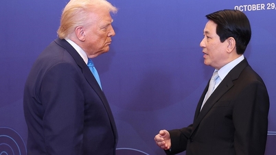 O presidente Luong Cuong se reúne com o presidente dos EUA, Donald Trump.