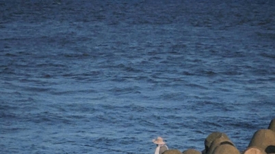 Làng chài Phước Hải: Nét bình yên mộc mạc gần Sài Gòn