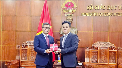 Continuarea extinderii cooperării educaționale Vietnam-Indonezia