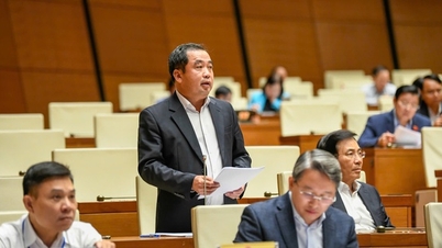 Das Ministerium für Landwirtschaft und Umwelt empfahl der Regierung, der Nationalversammlung vier wichtige Aufgabengruppen vorzulegen.