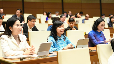 Comunicado de Imprensa nº 9, 10ª Sessão, 15ª Assembleia Nacional