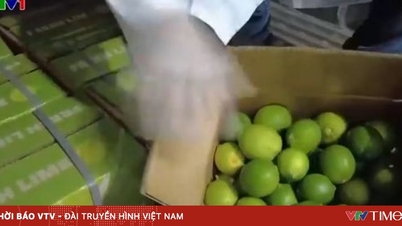 UAE - ベトナムの果物と野菜の大きな市場