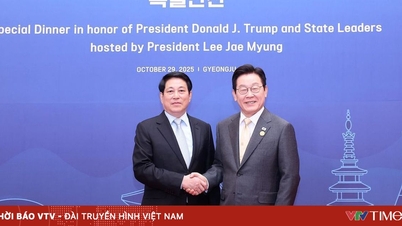 ویتنام برای ارتقای دستاوردهای اپک هماهنگیهای لازم را از نزدیک انجام خواهد داد.