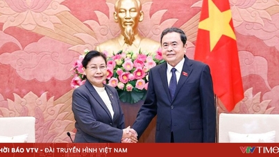 Memperkuat kerja sama antara pengadilan Vietnam dan Laos