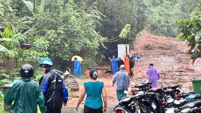 ভূমিধস এবং বন্যা এড়াতে দা নাং-এর পাহাড়ি এলাকা থেকে কয়েক ডজন পরিবারকে সরিয়ে নেওয়া হয়েছে।