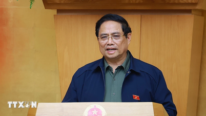 Прем'єр-міністр: Негайно подолати брак 4 типів знань серед низових посадовців