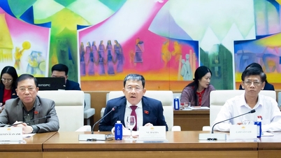 国会党委員会のヴー・ハイ・ハ副書記がキューバ駐ベトナム大使を接見