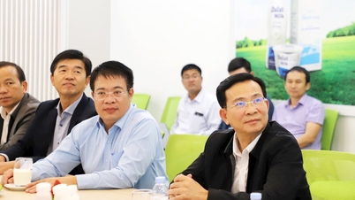 লাম ডং প্রাদেশিক পিপলস কমিটির চেয়ারম্যান হো ভ্যান মুওই দা লাট মিল্ক জয়েন্ট স্টক কোম্পানির প্রকল্প পরিদর্শন করেছেন।