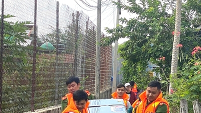 Bac Binh zeichnet Kollektive und Einzelpersonen für ihre Leistungen im Bereich Hochwasserschutz aus.