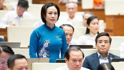 ผู้แทนรัฐสภาเสนอแนวทางแก้ไข 5 ประการและข้อเสนอแนะ 4 ประการสำหรับการพัฒนาอุตสาหกรรมวัฒนธรรมของเวียดนาม