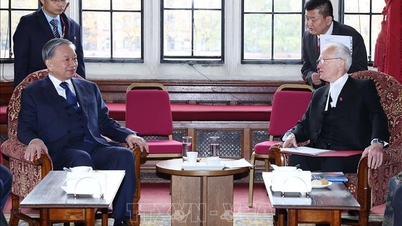 ト・ラム事務総長が英国貴族院議長アルクルイのマクフォール男爵と会談