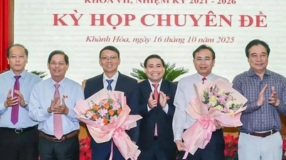 Herr Nguyen Khanh Ha wurde zum stellvertretenden Vorsitzenden des Volkskomitees der Provinz Khanh Hoa ernannt.