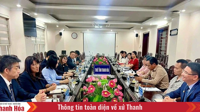 Stöd och svar på skattepolicyer för AEON MALL Thanh Hoa Commercial Center Project