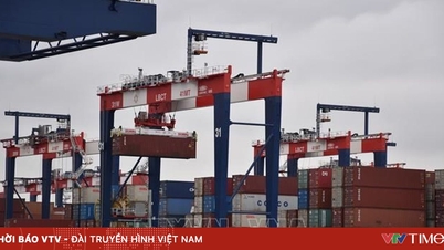 WTO: เศรษฐกิจโลกยังคงแข็งแกร่งต่อภาษีศุลกากร