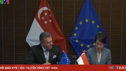 Impact de l'accord commercial numérique UE-Singapour