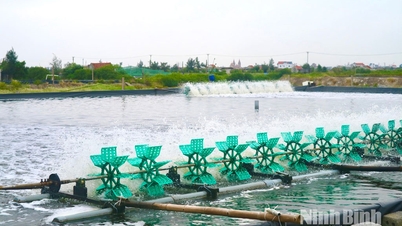 Hai Xuan fremmer fordeler ved å utvikle den maritime økonomien