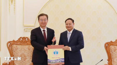 חיזוק שיתוף הפעולה בין לאי צ'או למחוז יונאן בסין