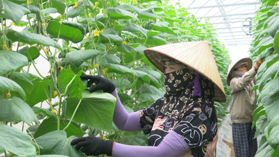 Het wegnemen van belemmeringen in het btw-beleid voor landbouwproducten, aquatische producten en diervoeders