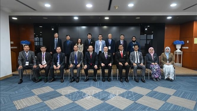 Wietnam i Malezja wzmacniają współpracę w walce z nielegalnymi połowami