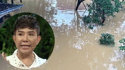 Bir gün Hue'de rekor kıran yağmur, şarkıcı Long Nhat karanlıkta titreyen babasına sarılıyor