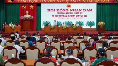 Struktura i skład kandydatów nominowanych do wyborów na delegatów Rady Ludowej