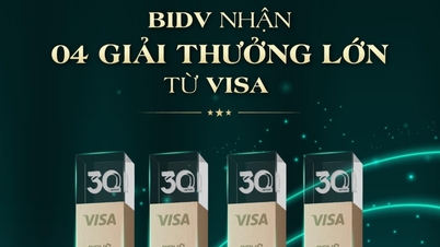 A BIDV foi homenageada em 4 importantes premiações da organização internacional de cartões Visa.