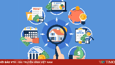 Quy chế tổ chức, hoạt động của Ban Chỉ đạo quốc gia về tài chính toàn diện