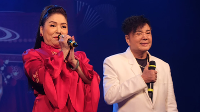 Chau Thanh, Phuong Hang, Cam Tien: tres cantantes prolijos se reúnen