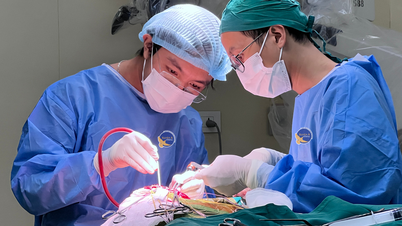 Pensé que el dolor de cabeza se debía al cambio de clima, pero resultó ser una recurrencia de un tumor cerebral.