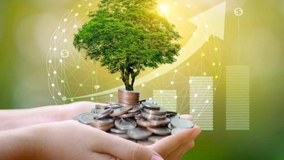 فيتنام تجتذب مليارات الدولارات من "رأس المال الأخضر" الدولي