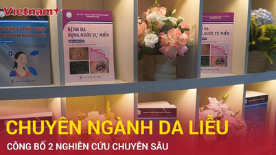 Universiti Perubatan dan Farmasi Ho Chi Minh City melancarkan monograf penting dalam dermatologi