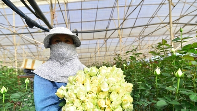 「花の都」の地位維持のため花の品種を輸入