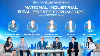 Solving the problem of attracting sustainable investment in Vietnam's industrial parks