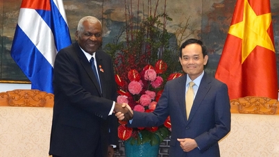 លេខាបក្សទីក្រុងហូជីមិញ លោក Tran Luu Quang ជួបជាមួយប្រធានរដ្ឋសភាគុយបា