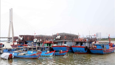 Quang Tri contabiliza y notifica a los barcos en el mar sobre la tormenta número 11