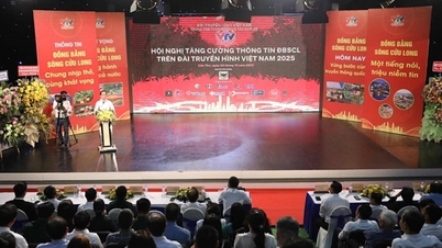 Fortalecimiento de la promoción de la imagen del Delta del Mekong