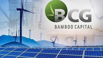 Τι είπε η Bamboo Capital όταν οι μετοχές BCG και TCD ανεστάλησαν από τη διαπραγμάτευση;