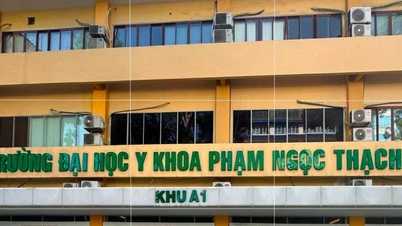 24-year-old male student admitted to major medical school for PhD