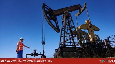 Globální poptávka po ropě se do roku 2050 zvýší na 378 milionů barelů denně