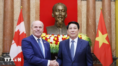 President: Vietnam always wants to develop friendly relations with other countries.