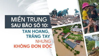Zentralvietnam nach Sturm Nr. 10: Verwüstung, mit leeren Händen – aber nicht allein