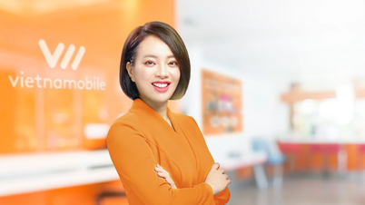 Vietnamobile appoints Vietnamese as General Director for the first time