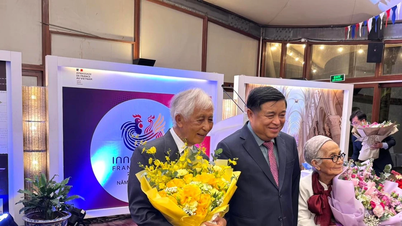 Hai nhà khoa học Pháp gốc Việt nhận Huân chương Bắc đẩu Bội tinh