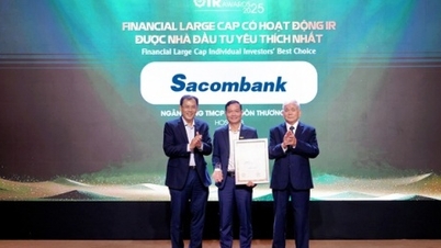Sacombank có hoạt động IR được nhà đầu tư yêu thích nhất 2025