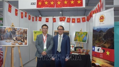 អាជីវកម្ម​ឈីលី​ចាប់អារម្មណ៍​នាំចូល​កសិផល​វៀតណាម
