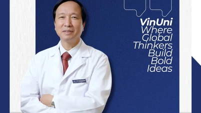 21 giảng viên VinUni vào danh sách nhà khoa học ảnh hưởng nhất thế giới 2025