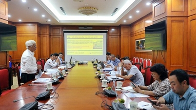 Kutatási téma elfogadása a Vung Tau és Kien Giang közötti tengeri terület szennyezési mechanizmusáról