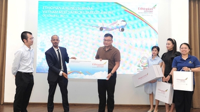 Việt Nam kết nối trực tiếp Châu Phi qua Ethiopian Airlines