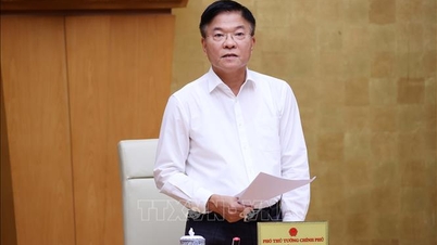 Le vice-Premier ministre Le Thanh Long : Mettre l'accent sur la construction d'une culture du respect de la loi